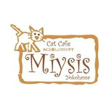 横浜猫カフェミーシスCat Cafe Miysis