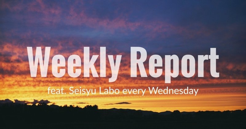Weekly Report Vol.1