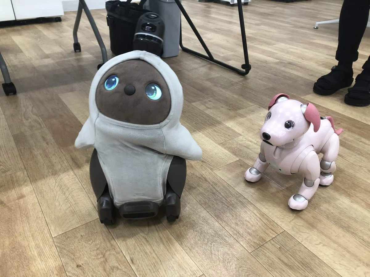aiboがきたら、愛玩ロボット戦争が始まりました｜二川智南美