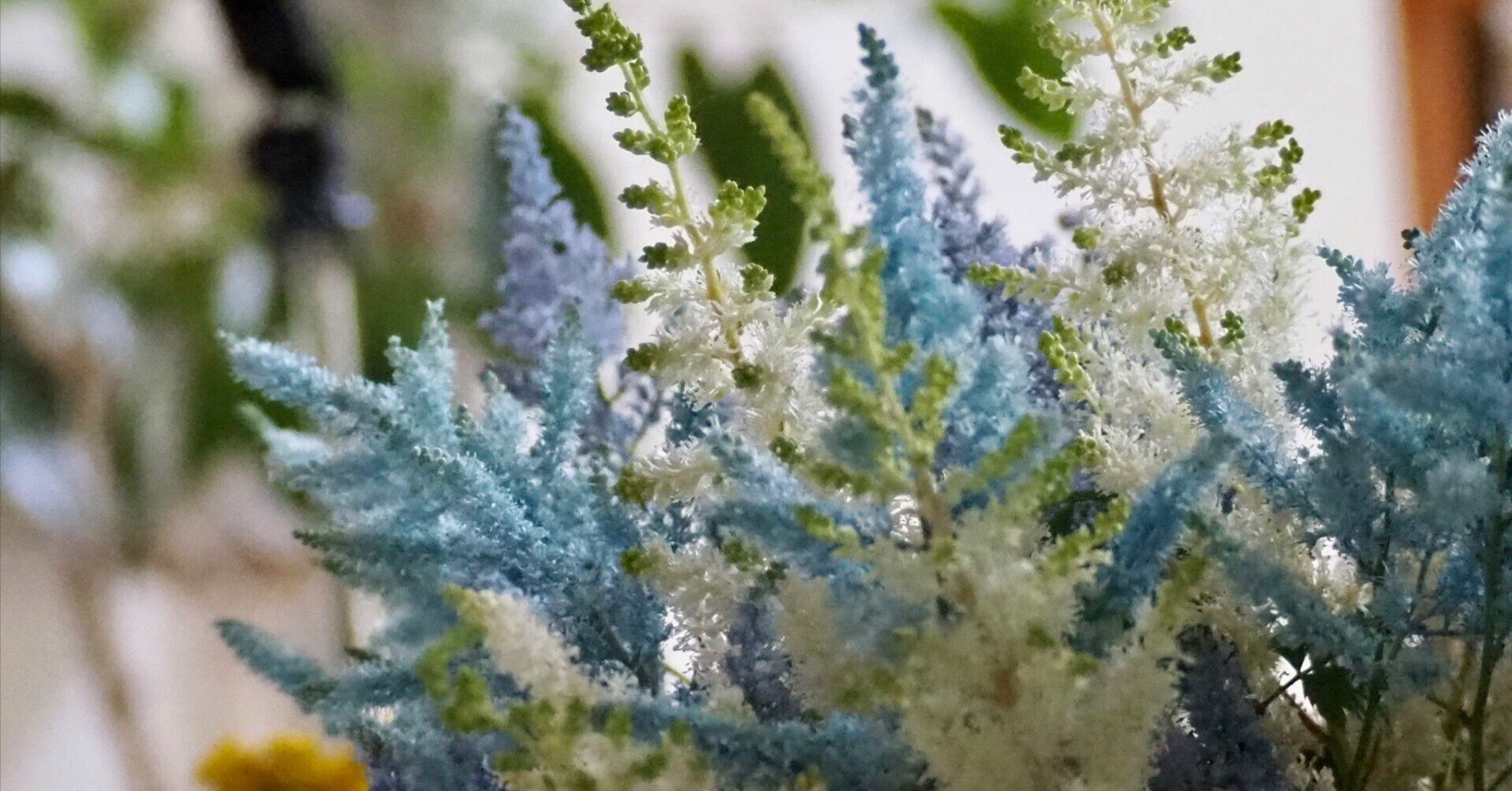 憧れのブルーの アスチルベ が我が家にやってきた Haco ガーデンプランナー 庭のある暮らし植物のある暮らし Note 憧れのブルーの アスチルベ が我が家にやってきた Haco ガーデンプランナー 庭のある暮らし植物のある暮らし Note