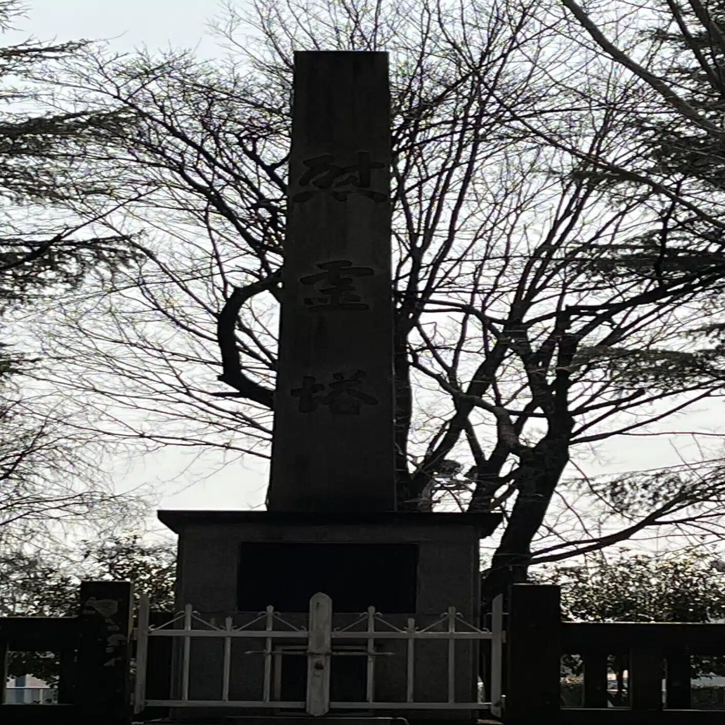 草野 春心