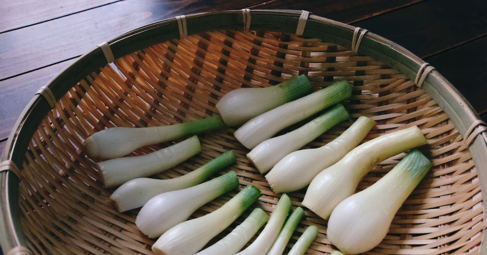 芽が出た玉ねぎの行方 畑に植えて2ヶ月経過 つぐみ Note 芽が出た玉ねぎの行方 畑に植えて2ヶ月経過 つぐみ Note