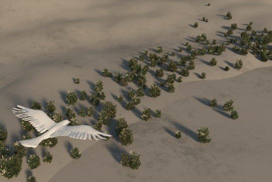 砂漠と鳩1