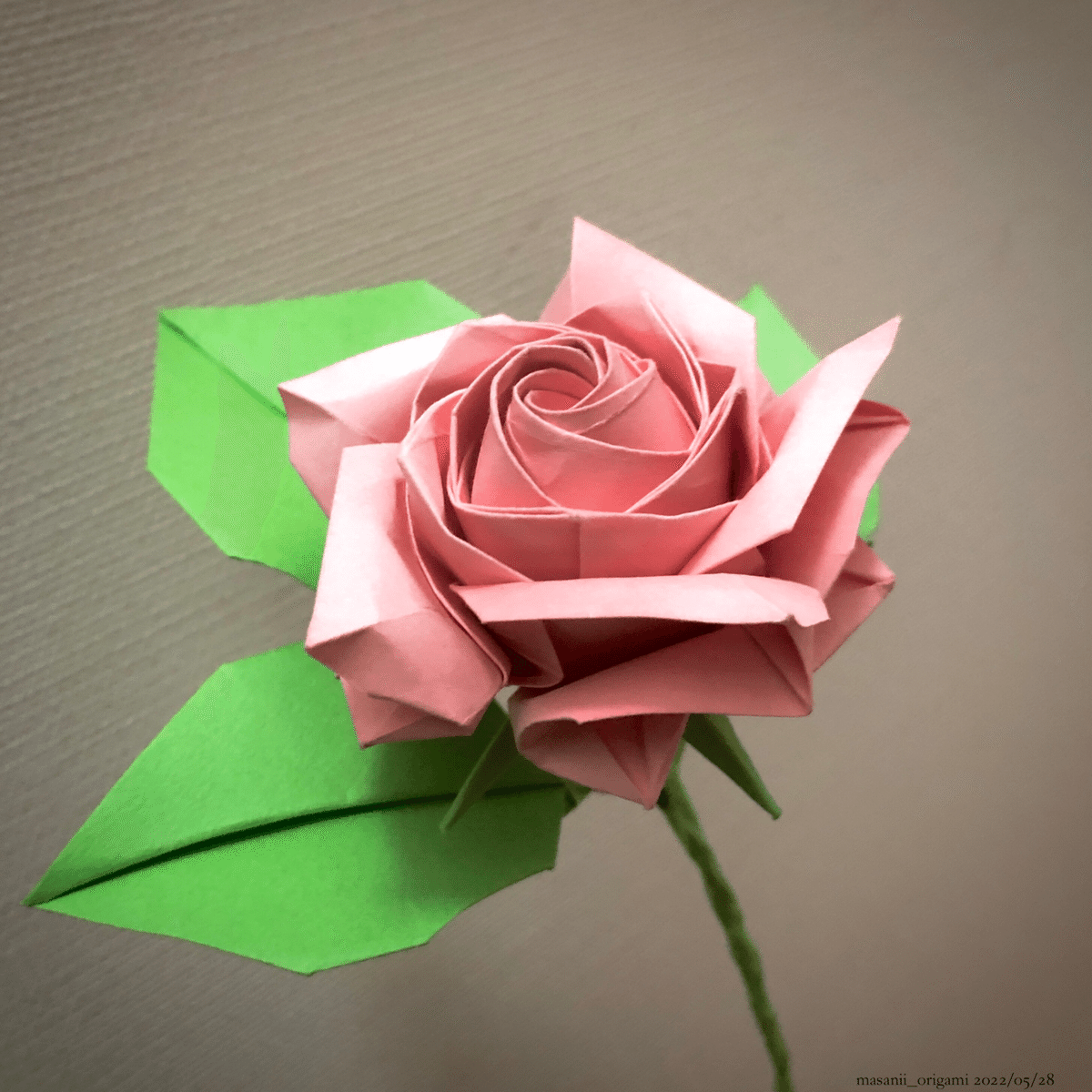 佐藤薔薇４７本 佐藤薔薇47本 佐藤薔薇47本