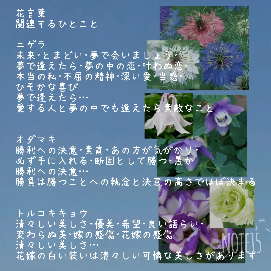 清々しい美しさ の新着タグ記事一覧 Note つくる つながる とどける