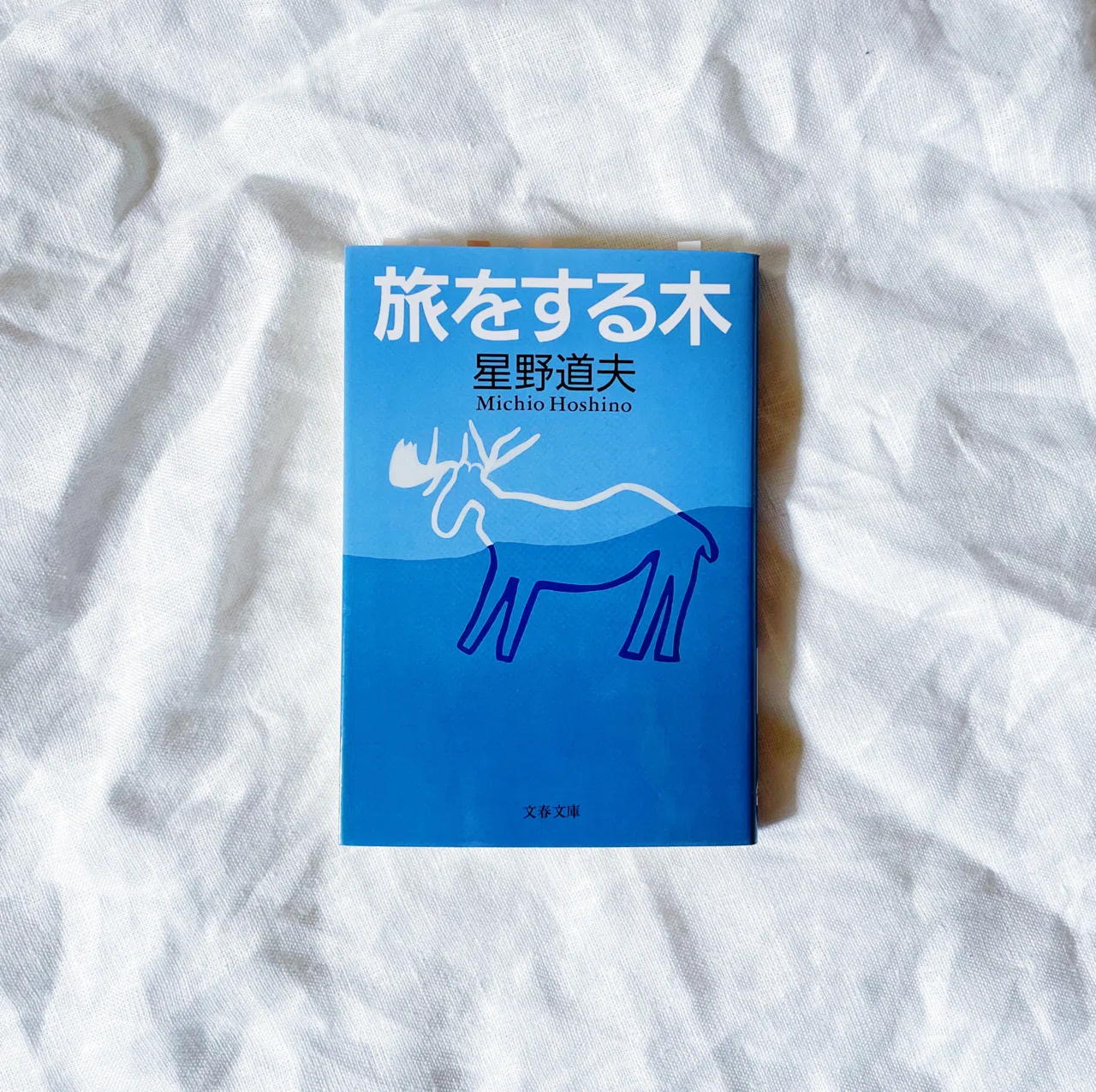 今日も、読書。 ｜心がこの場所に追いつくまで、私たちは待っているの