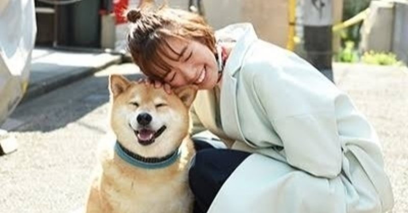 鑑賞記録 柴犬まるとゆっくりお散歩 しおまるさんぽ がだいすきだ 綿生しあの Note