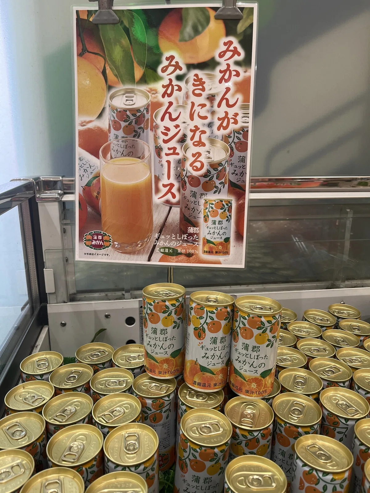 画像24