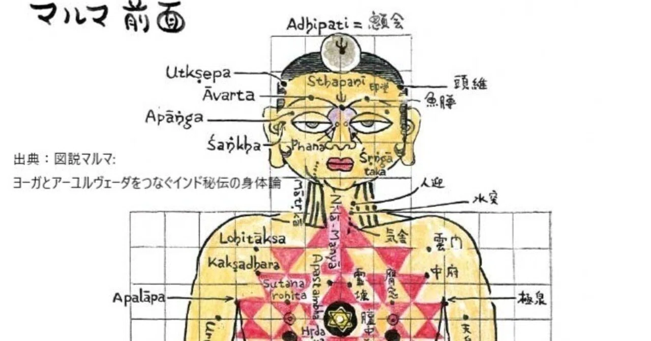 マルマは全身に107個。エネルギーや意識の流れが通る重要な場所