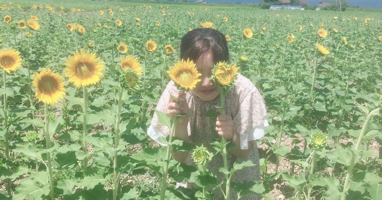 iOS_の画像__7_