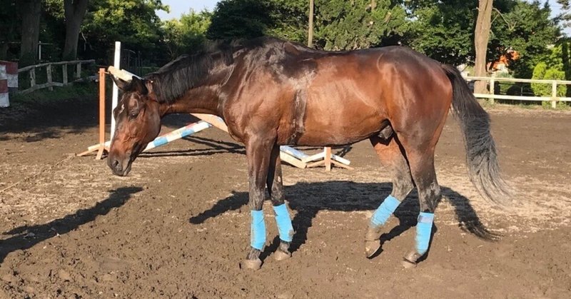 ジャンプライン の新着タグ記事一覧 Note つくる つながる とどける