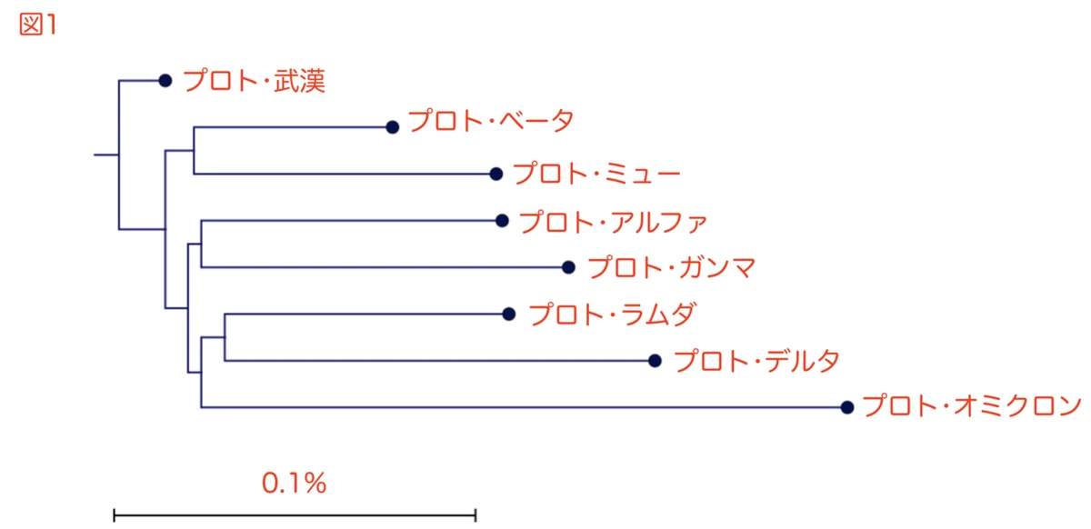 人工ウイルス論文 Figure 1