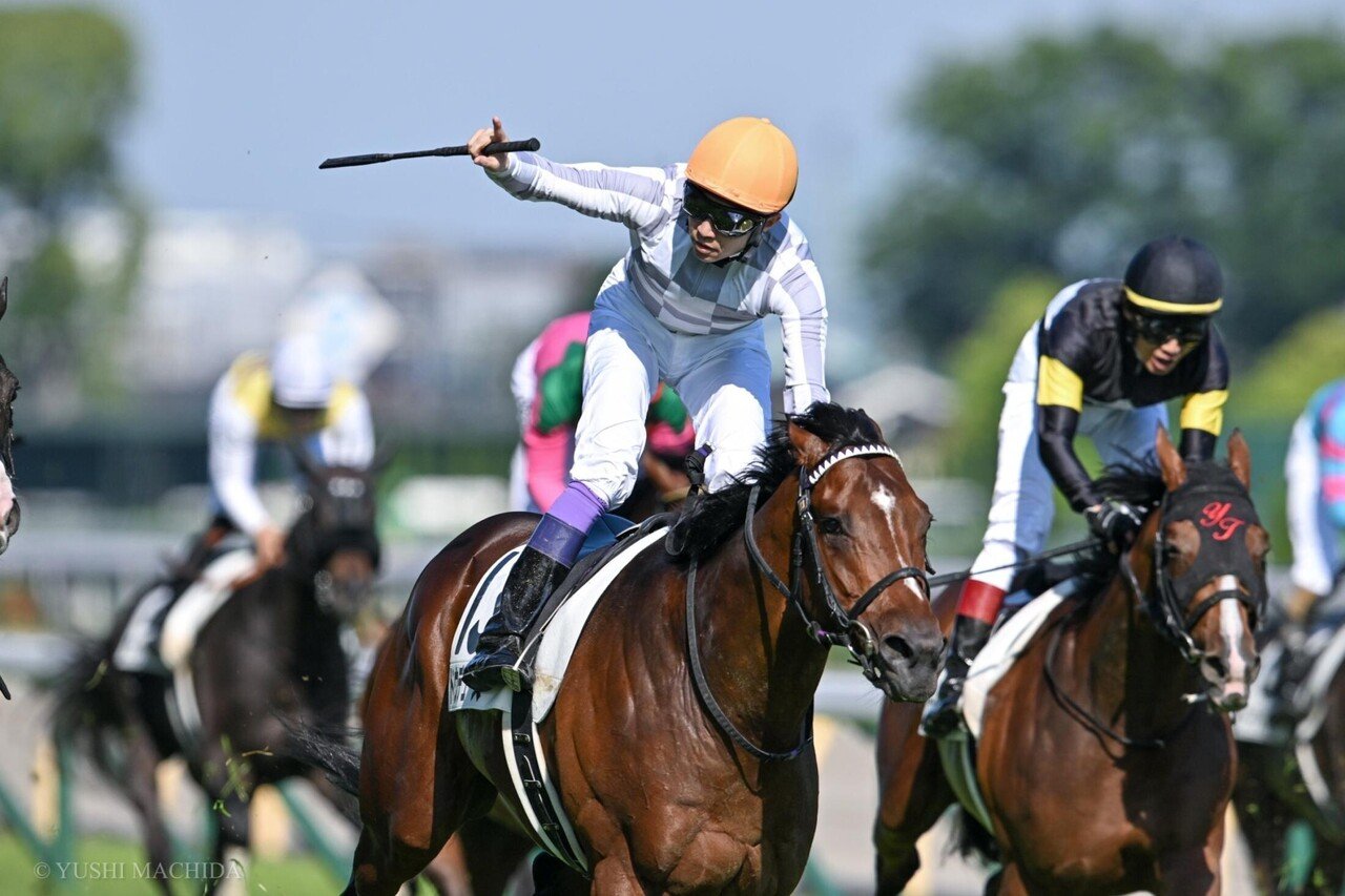 衝撃の激安コスパ・掘り出し物も 今日の日本ダービーでドウデュースが勝ちましたね！この勝利で鞍 ラウンド用品・アクセサリー