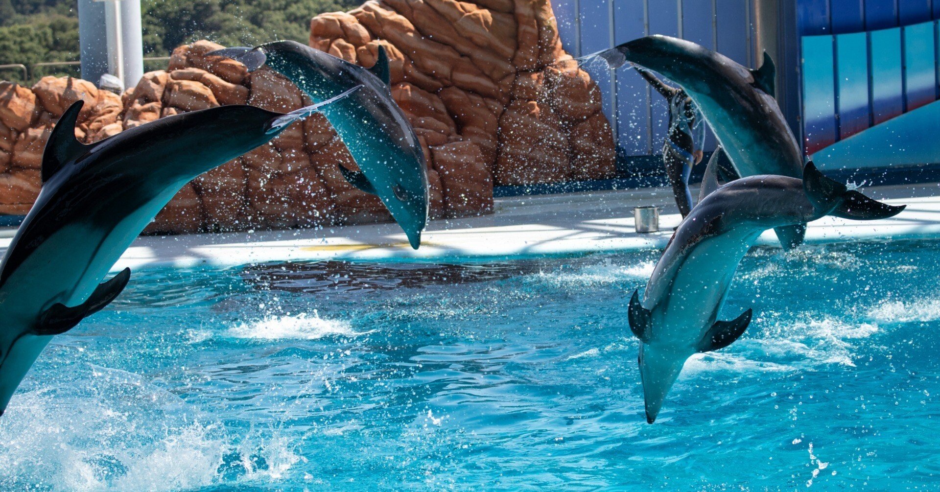 1fb88ecd90cbd6b5e5fb2de5dd3b8c