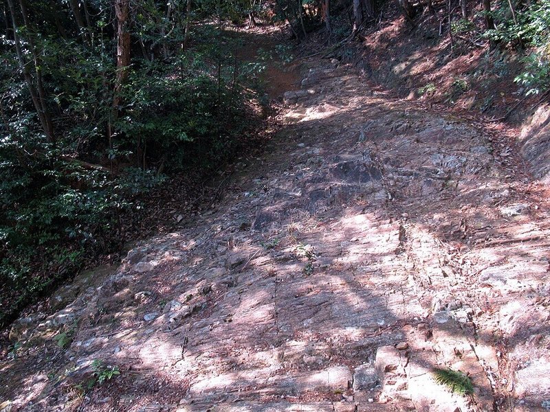 3関山神社登山道堆積岩