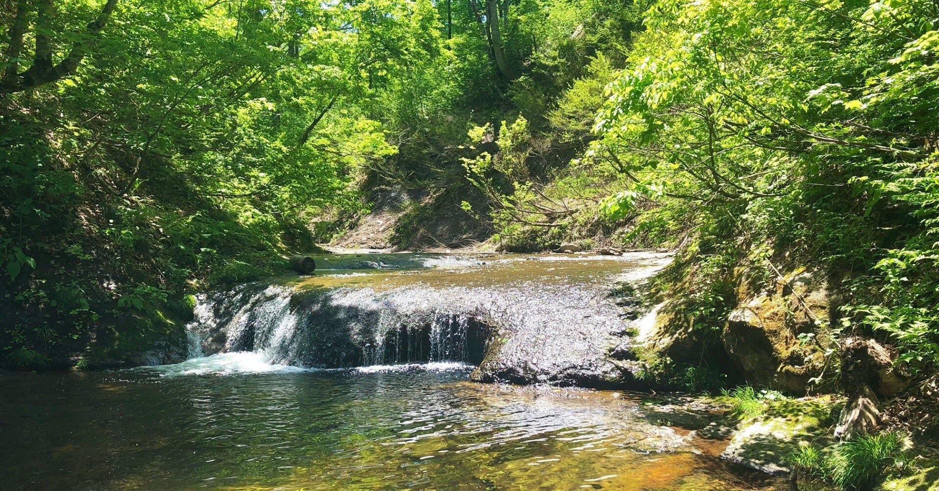 83703bd8a624aa1d5a16291ee7a9cd