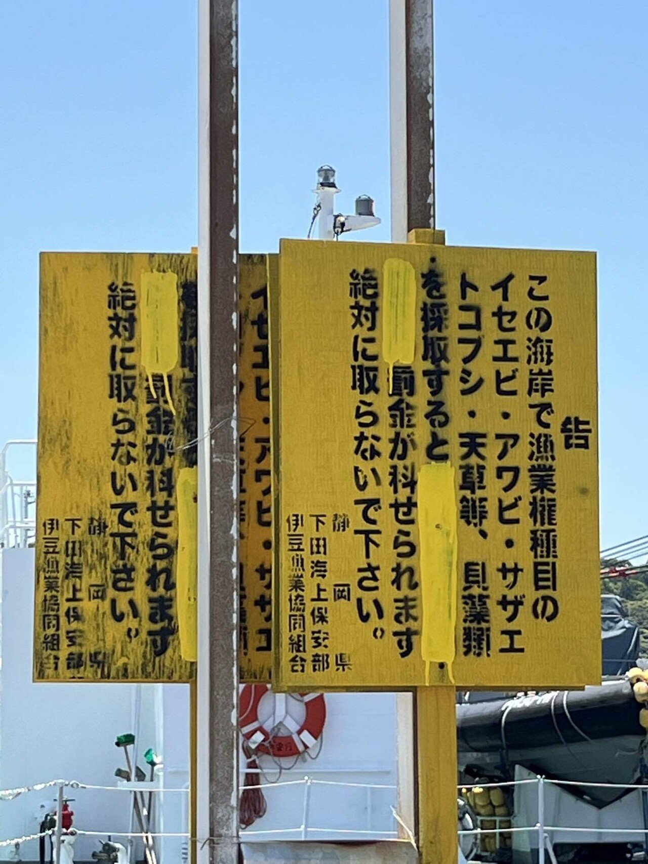 画像22