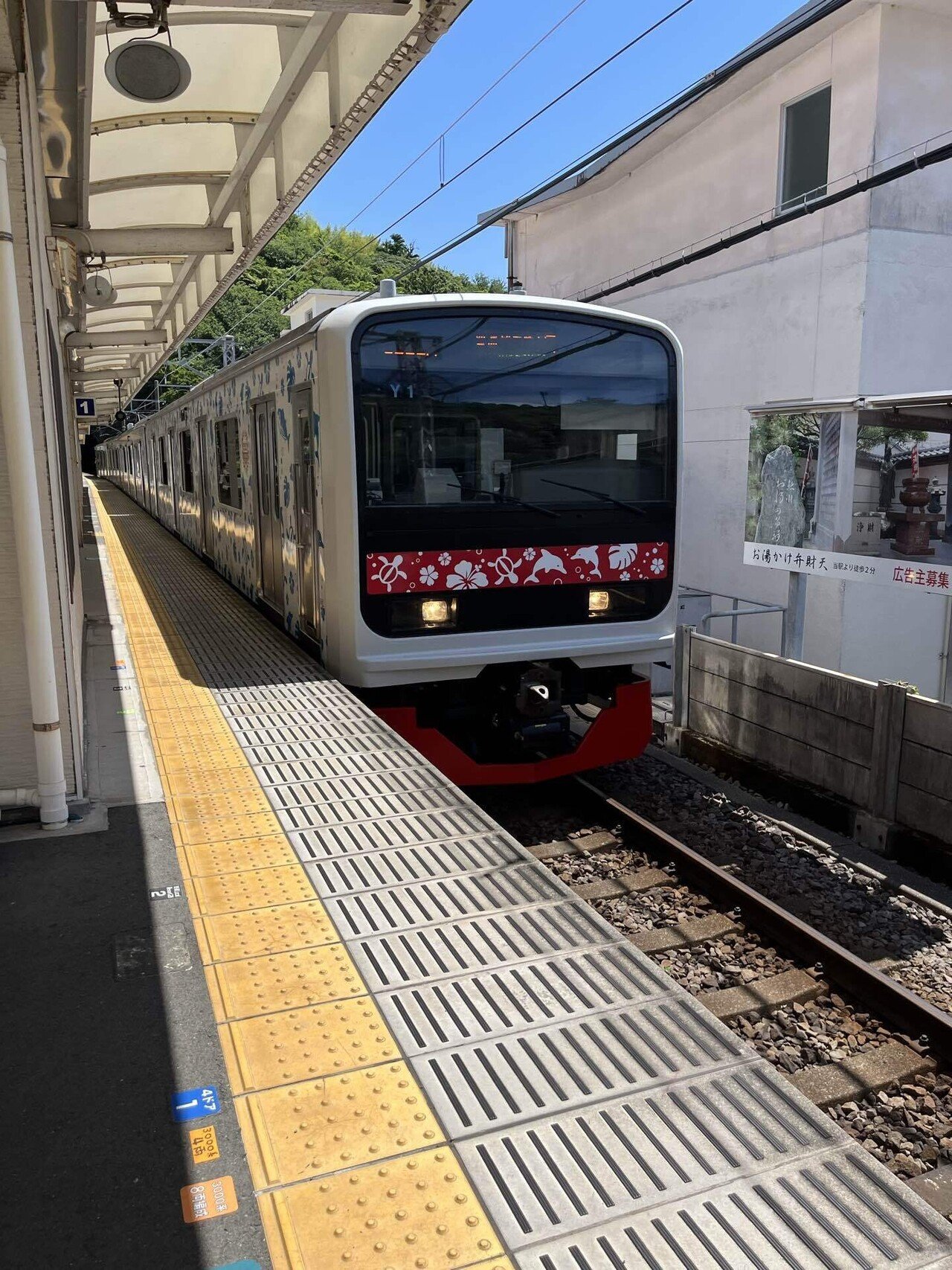 画像1