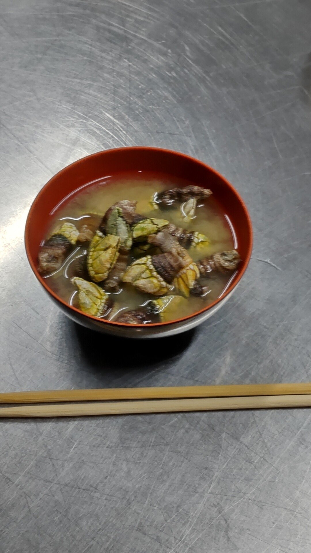 亀の手 の新着タグ記事一覧 Note つくる つながる とどける