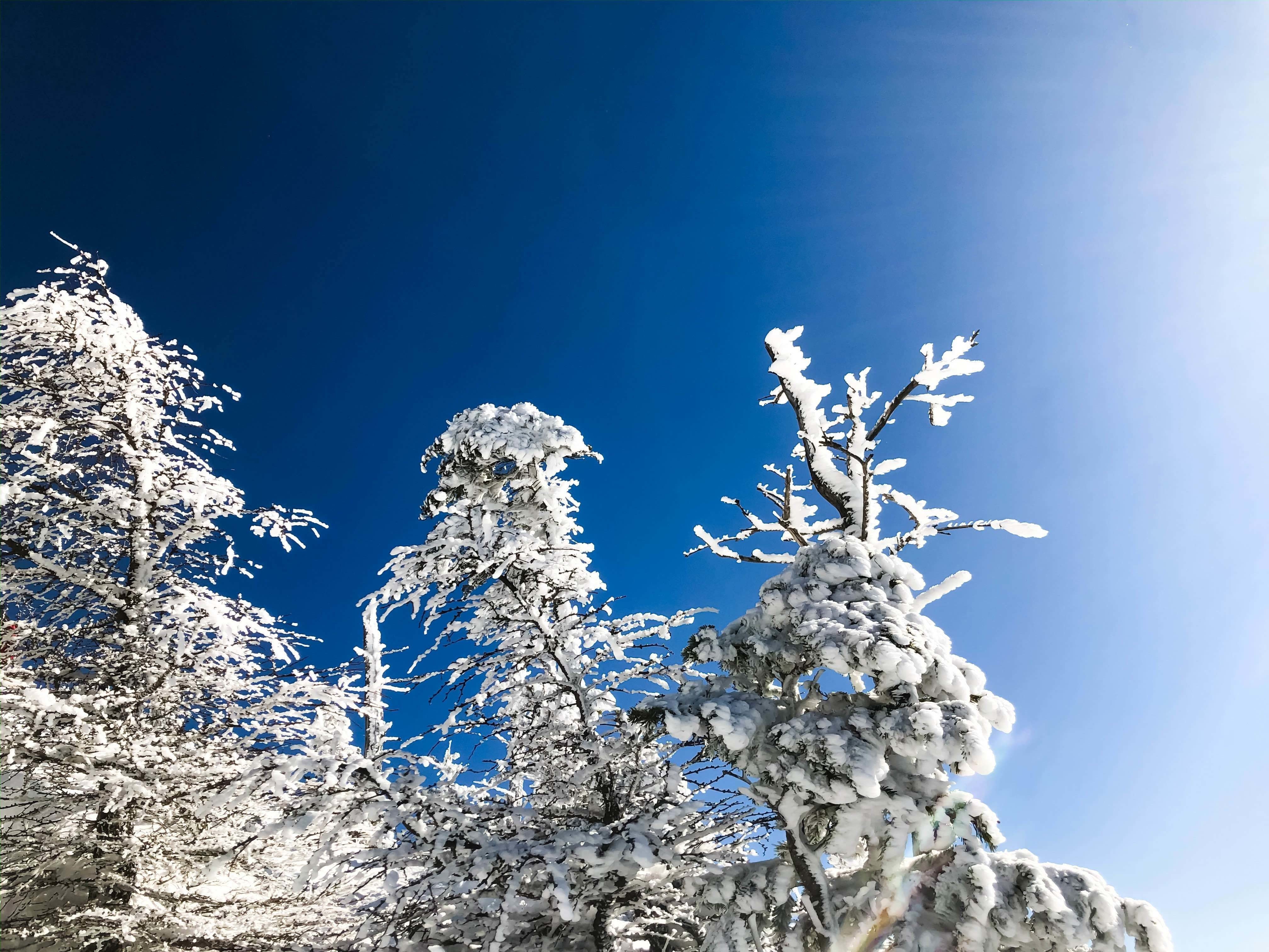 人生狂騒曲｜note