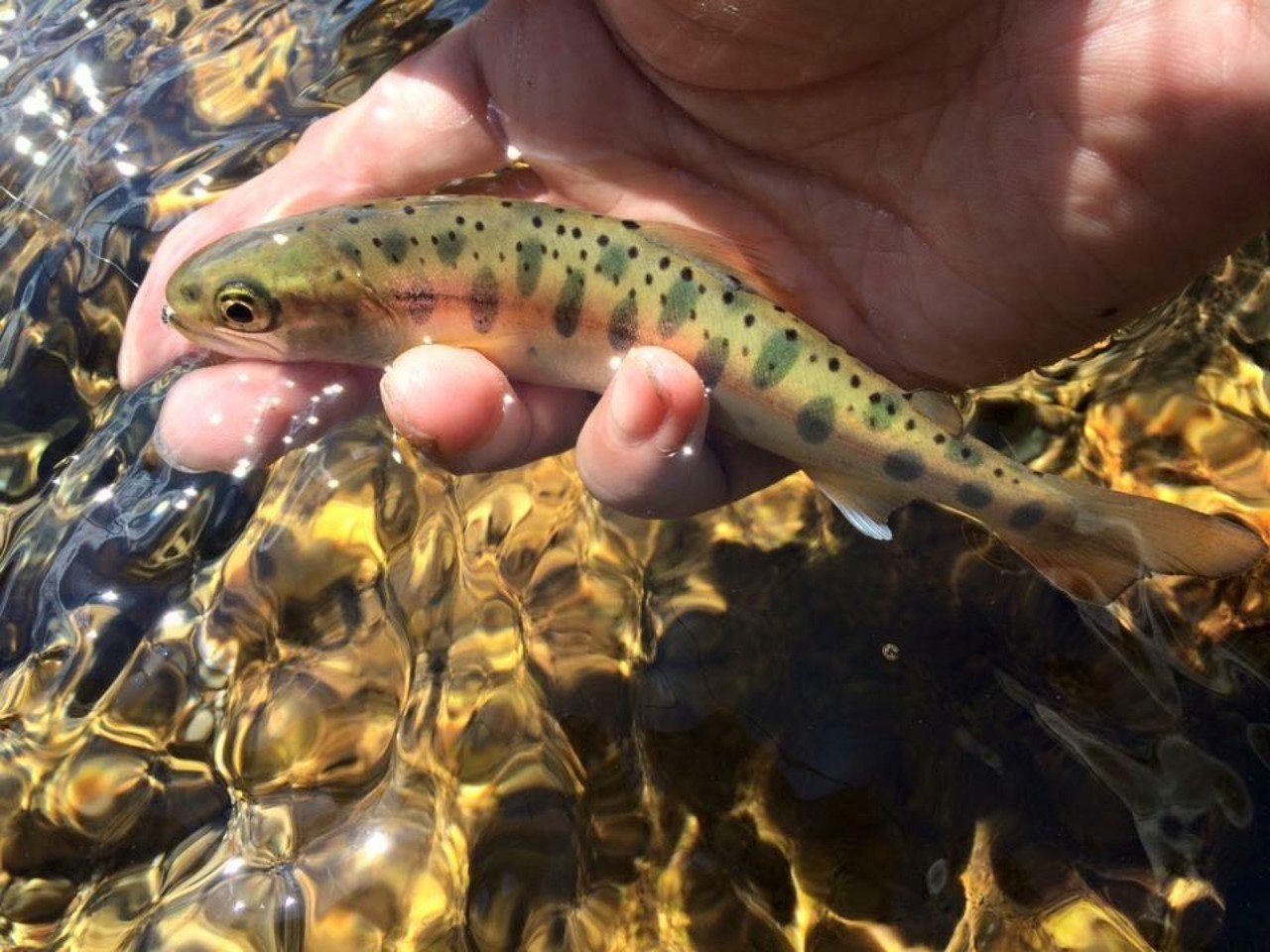 四月六日 すずきたけし Note 四月六日 すずきたけし Note