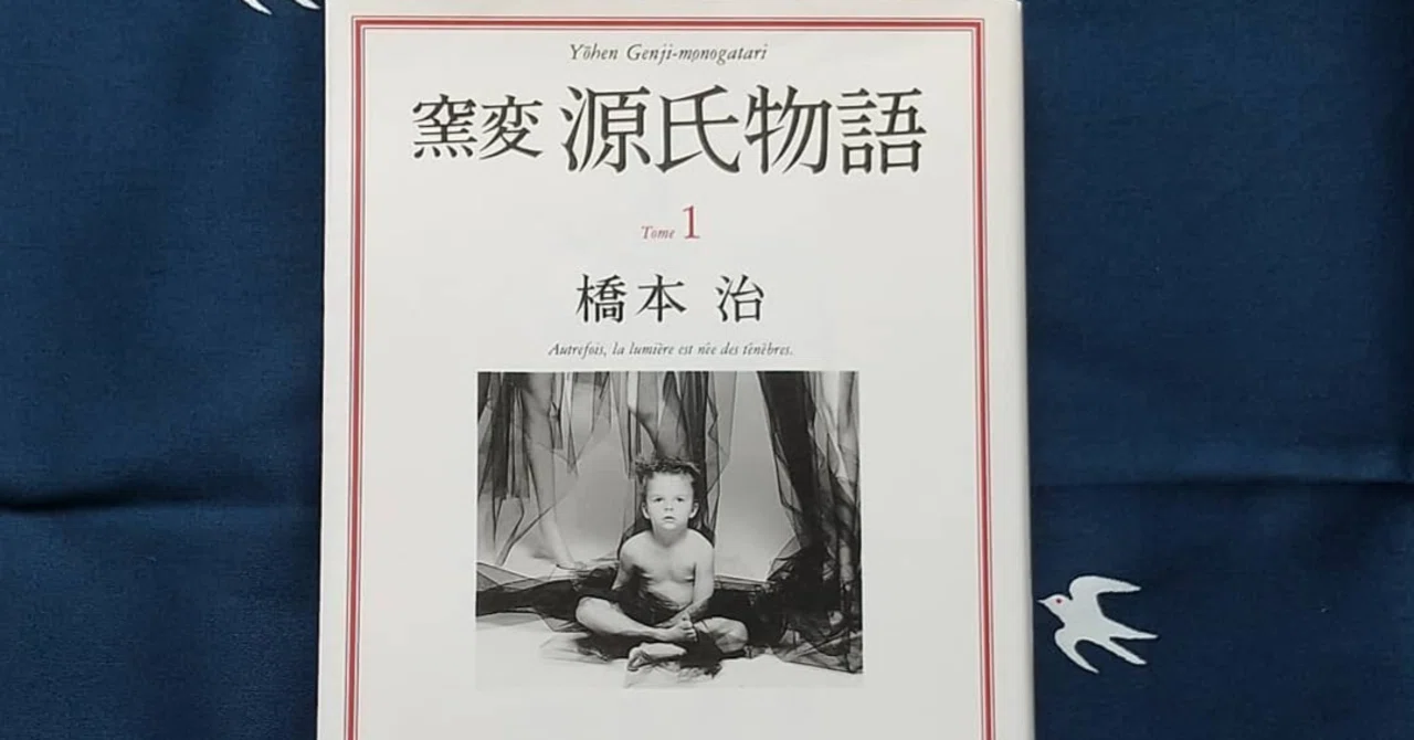 古典にまつわる迷信─橋本治『窯変源氏物語』1｜chisato_mrt