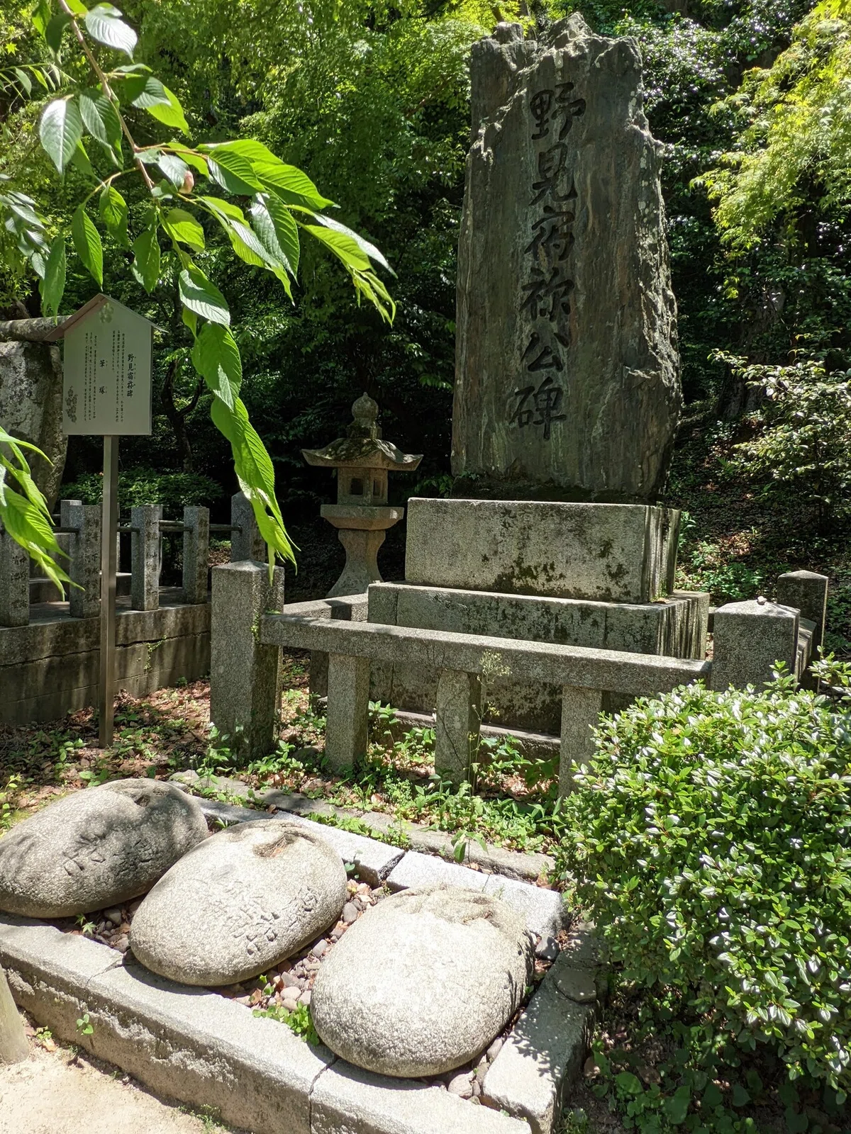 画像7