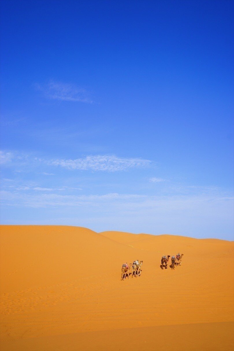 旅の迷い道 砂漠の向こう 乾いた大地のまっすぐな モロッコ マラケシュ カサブランカ 伊佐 知美 Note 旅の迷い道 砂漠の向こう 乾いた大地のまっすぐな モロッコ マラケシュ カサブランカ 伊佐 知美 Note