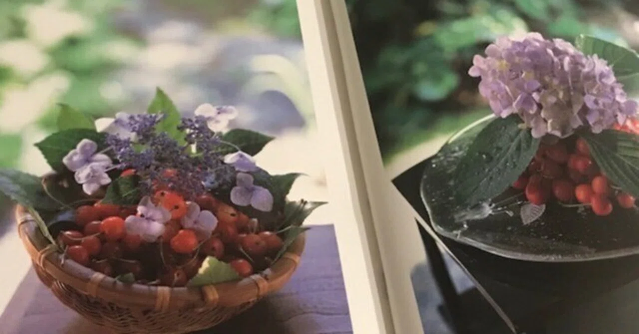 夏の茂り 第二小節 「花で人の心が生かされる」【袋中菴幻の花 写真集