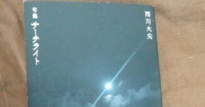 淋しさと懐かしさ：西川火尖句集『サーチライト』