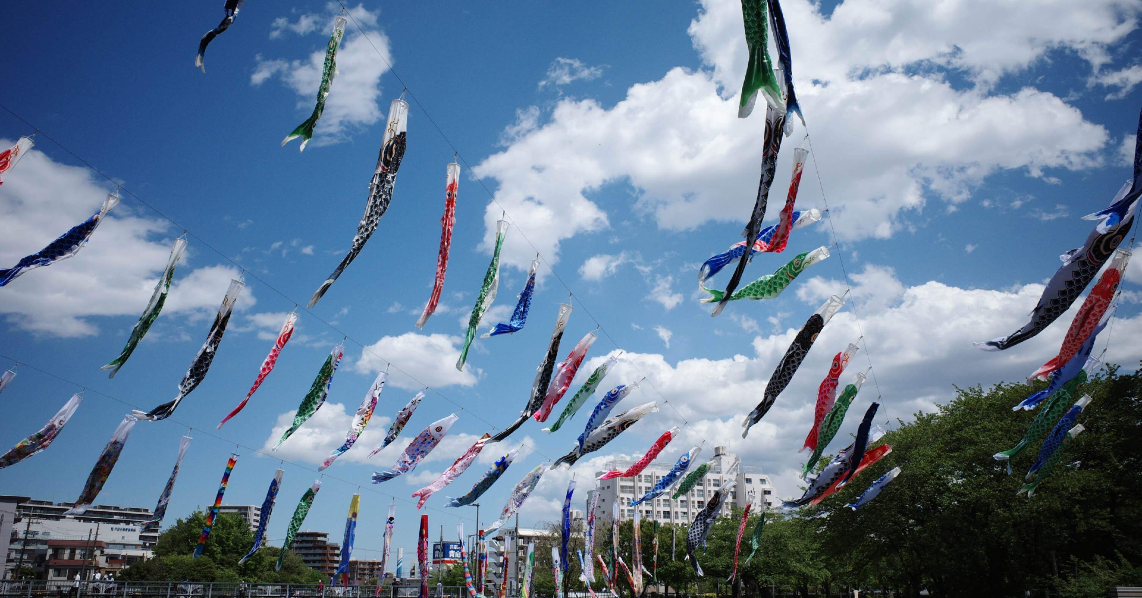 18f01c60db7dccdb8196b9d89d9843