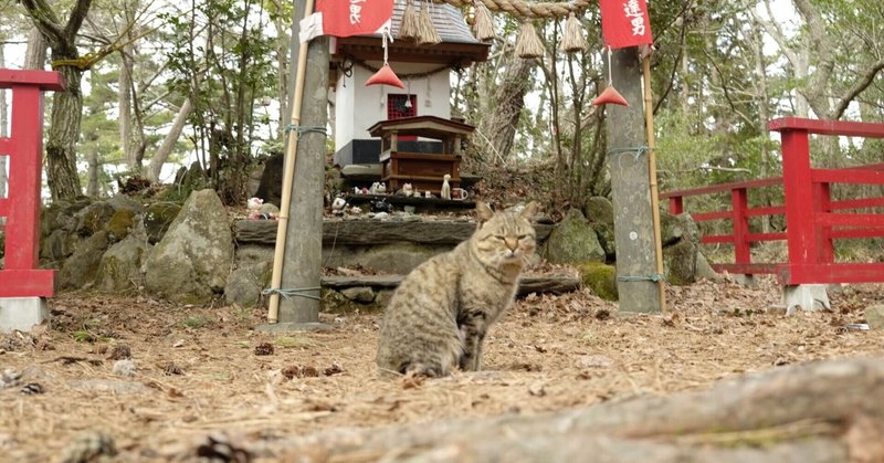 お猫様図鑑「日本猫と雑種」世界に一匹しかいない個性豊かな猫