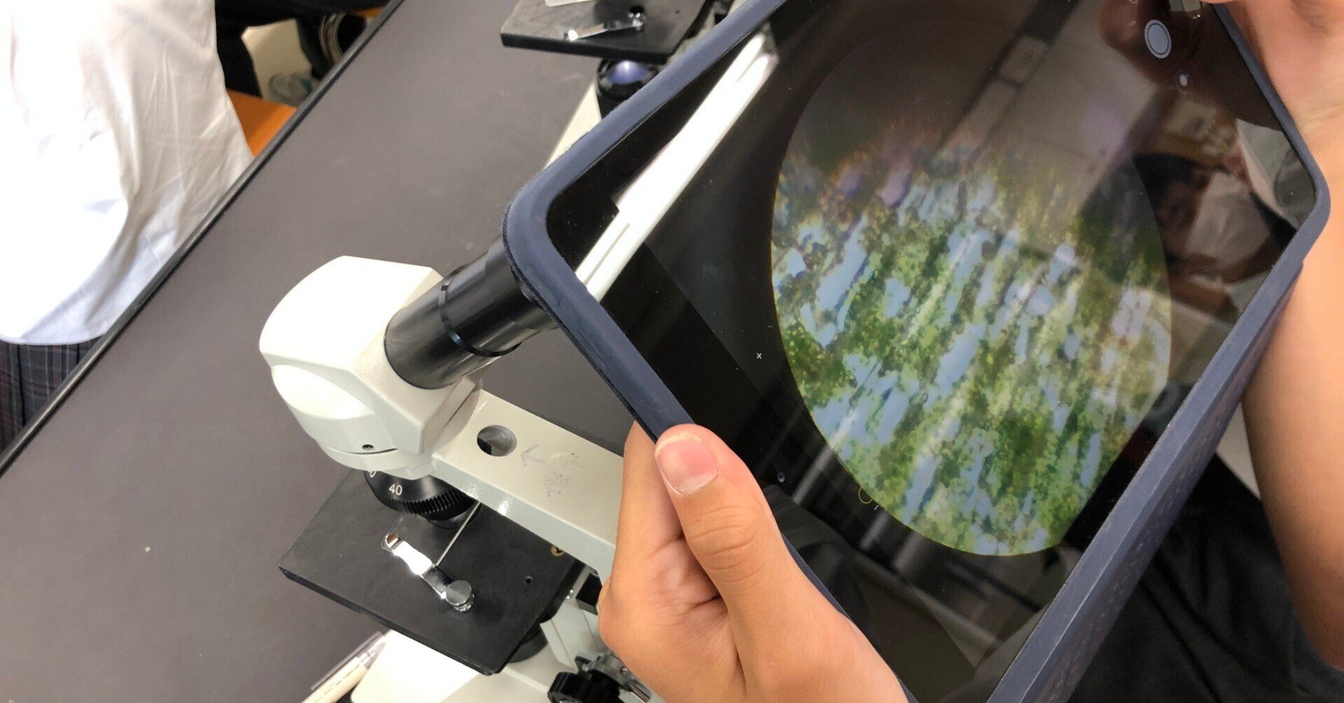 オオカナダモの細胞の観察 やのさん Note オオカナダモの細胞の観察 やのさん Note