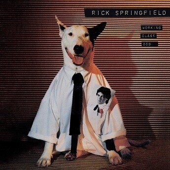 洋楽 RICK SPRINGFIELD Amazon.co.jp: Springfield: ミュージック