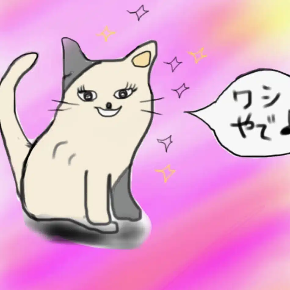 プリンセスケイコ[サブ]タロット勉強note🔮人生お祭り騒ぎ🎊人生は冗談
