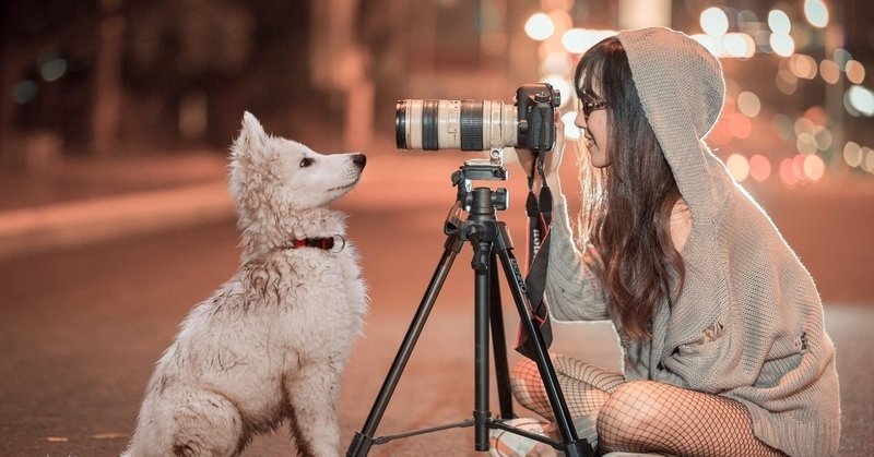 映画 僕のワンダフル ライフ 生まれ変わっても大好きな人を愛すること めーたん megumi t note