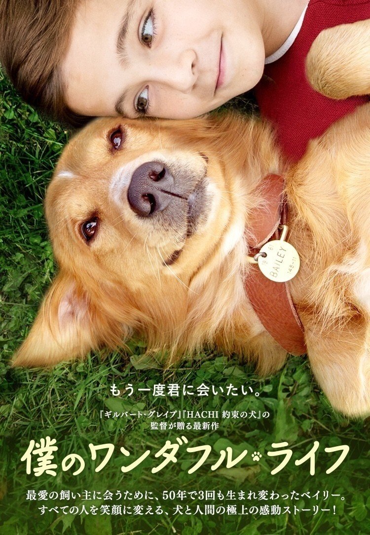 映画 僕のワンダフル ライフ 生まれ変わっても大好きな人を愛すること めーたん Megumi T Note 映画 僕のワンダフル ライフ 生まれ変わっても大好きな人を愛すること めーたん Megumi T Note