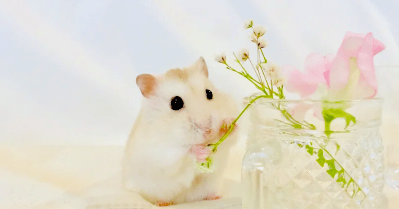 プディングハムスター の新着タグ記事一覧 Note つくる つながる とどける プディングハムスター の新着タグ記事一覧 Note つくる つながる とどける