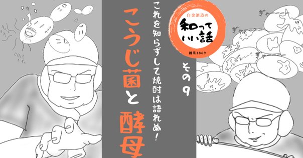 ◇圏論的量子力学入門◇ボブ・クック、アレクス・キッシンジャー 圏論的量子力学入門 | ボブ・クック, アレクス・キッシンジャー