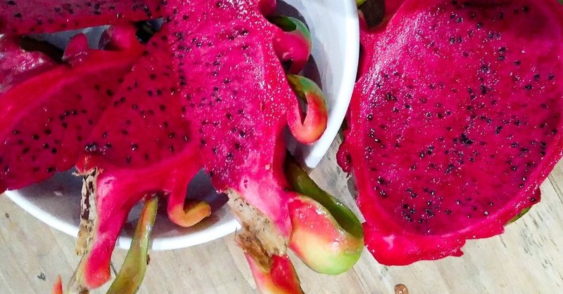 遊びの切り口 珍しい食べ物はおもしろい あそび師kaiのアタマん中 Note