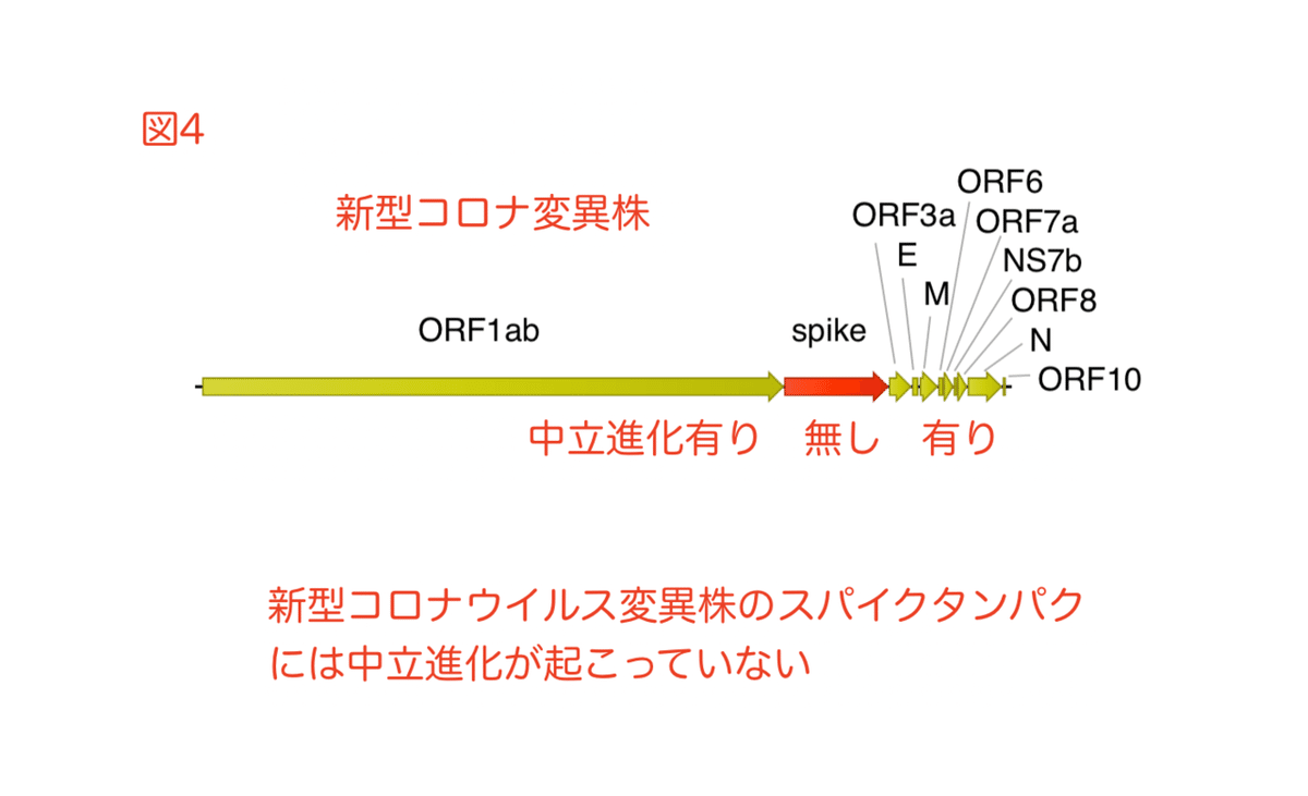 人工ウイルス論文 Figure 4