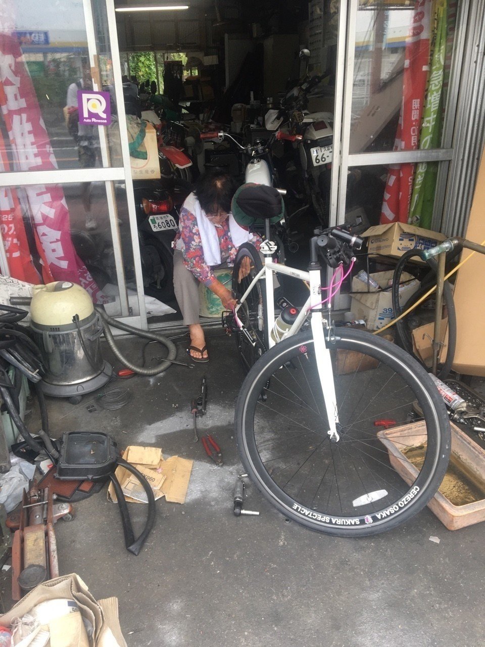 Celt cyclery cartimar new arrivals