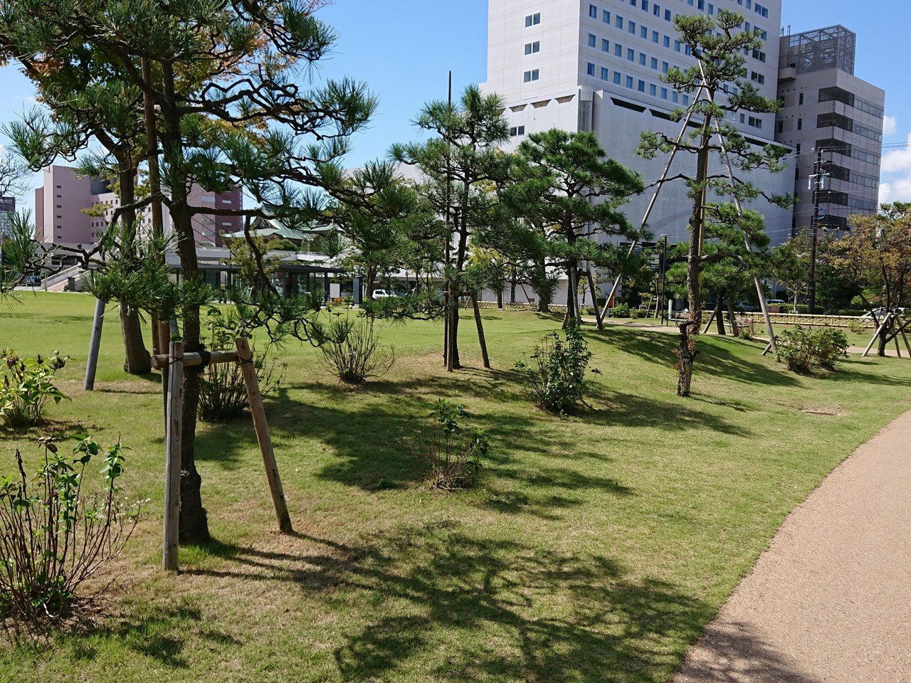 スマホで撮影する写真って10mb超えちゃうんだね Noteは10mb以上の画像は貼り付けられないらしい なるほど ここは福井市中央公園 平日お昼にピクニックランチをするところです Mizukamidaisuke Note