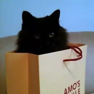 くろねこやま/ボカロP