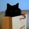 くろねこやま/ボカロP