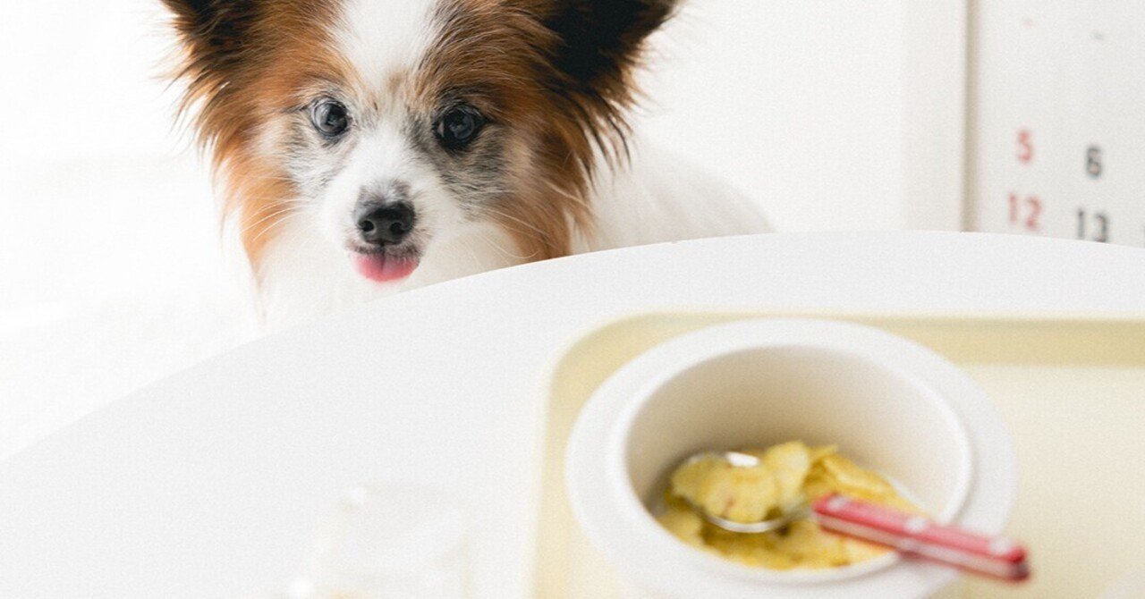 材料ひとつ レンチン犬おやつ さつまいもフレーク 手作り犬おやつレシピ 単品購入 いちかわあやこ 犬ごはん先生 Note 材料ひとつ レンチン犬おやつ さつまいもフレーク 手作り犬おやつレシピ 単品購入 いちかわあやこ 犬ごはん先生 Note