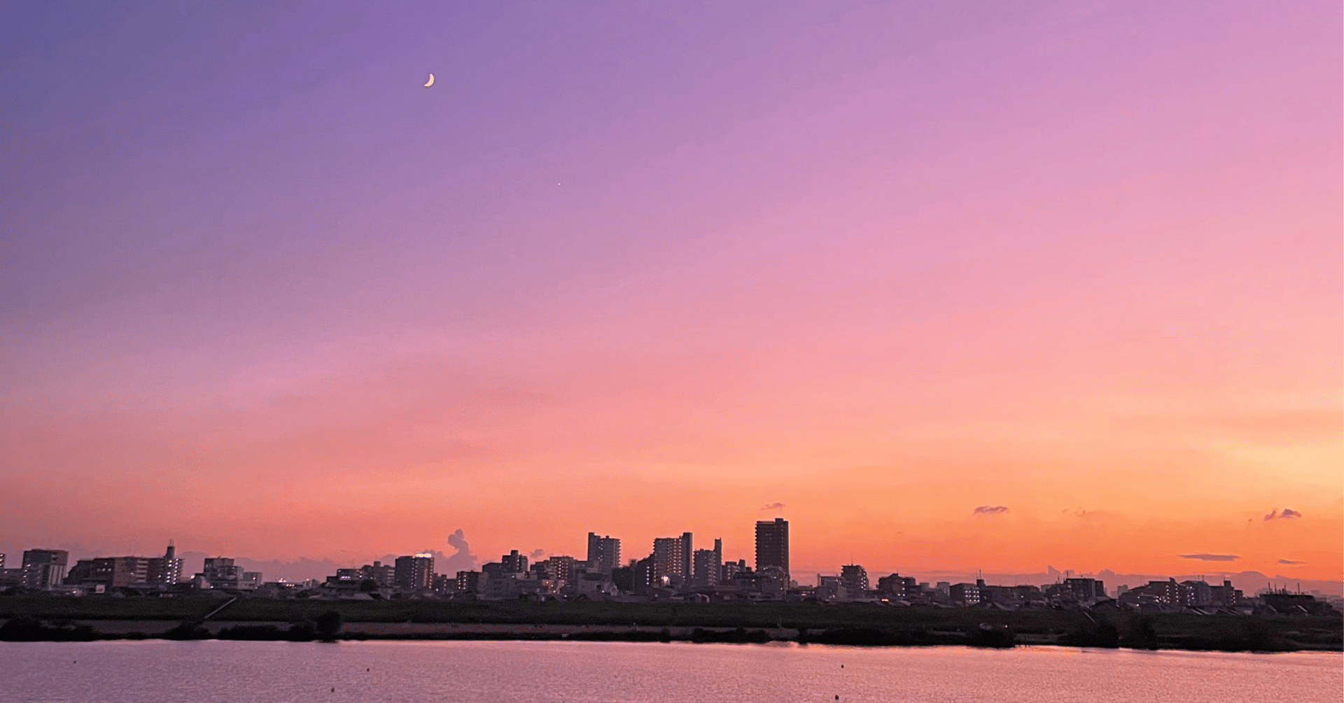 昼咲月見草 と 待宵草 と竹久夢二と三日月と Haco ガーデンプランナー 庭のある暮らし植物のある暮らし Note