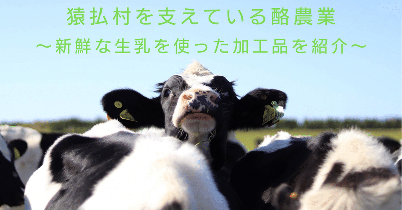 猿払村を支えている酪農業　～新鮮な生乳を使った加工品を紹介～