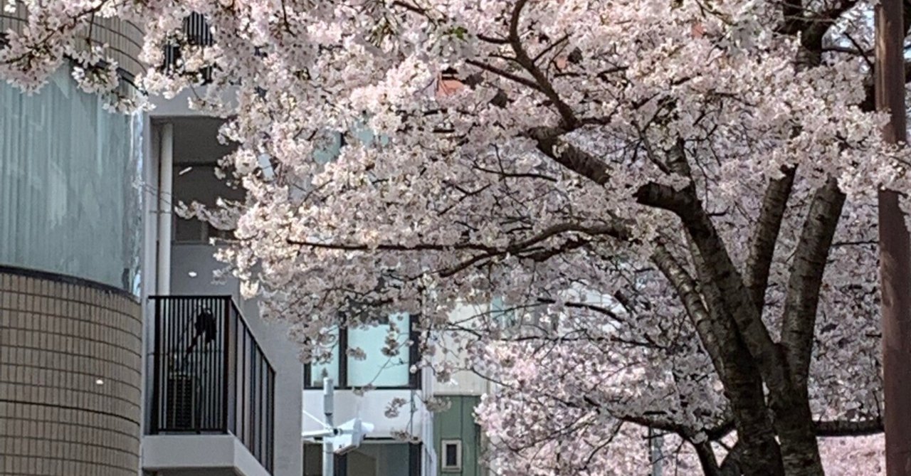 マーケティングだけ勉強しても、マーケティングできるようにならない〜その(3)〜|富永朋信(プロフェッショナルマーケター)