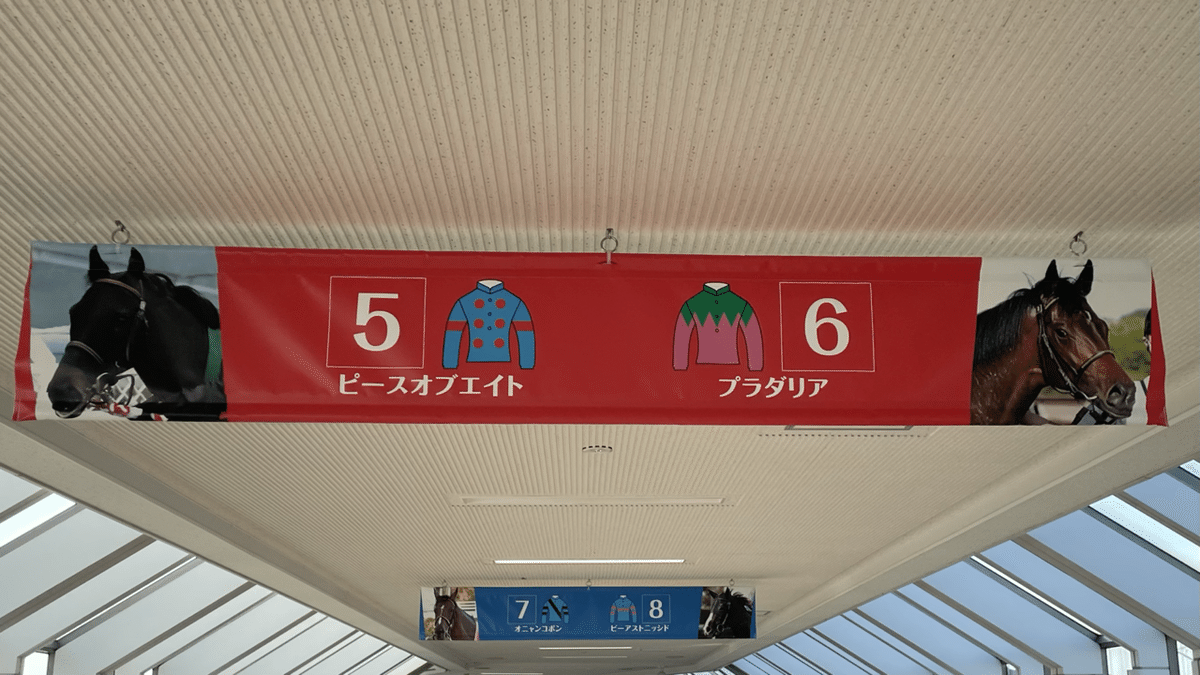さねちかの『競馬場レポート』vol.3 日本ダービー|ひでまさねちか さねちかの『競馬場レポート』vol.3 日本ダービー|ひでまさねちか